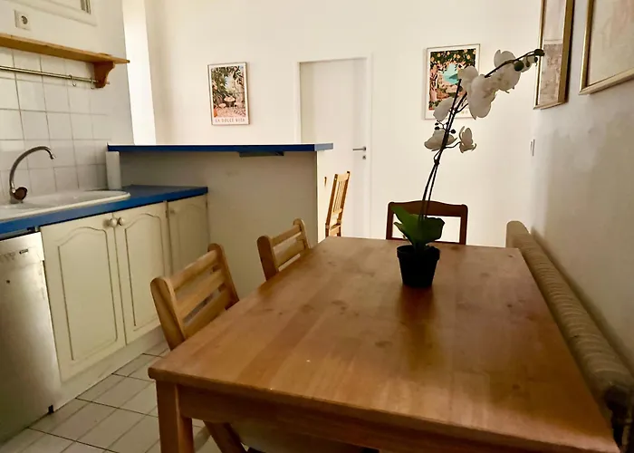 Central 5-Bedroom Old School Apartment Βιέννη